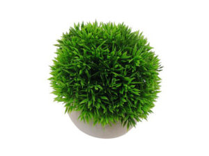 MONDO GRASS BALL POTTED