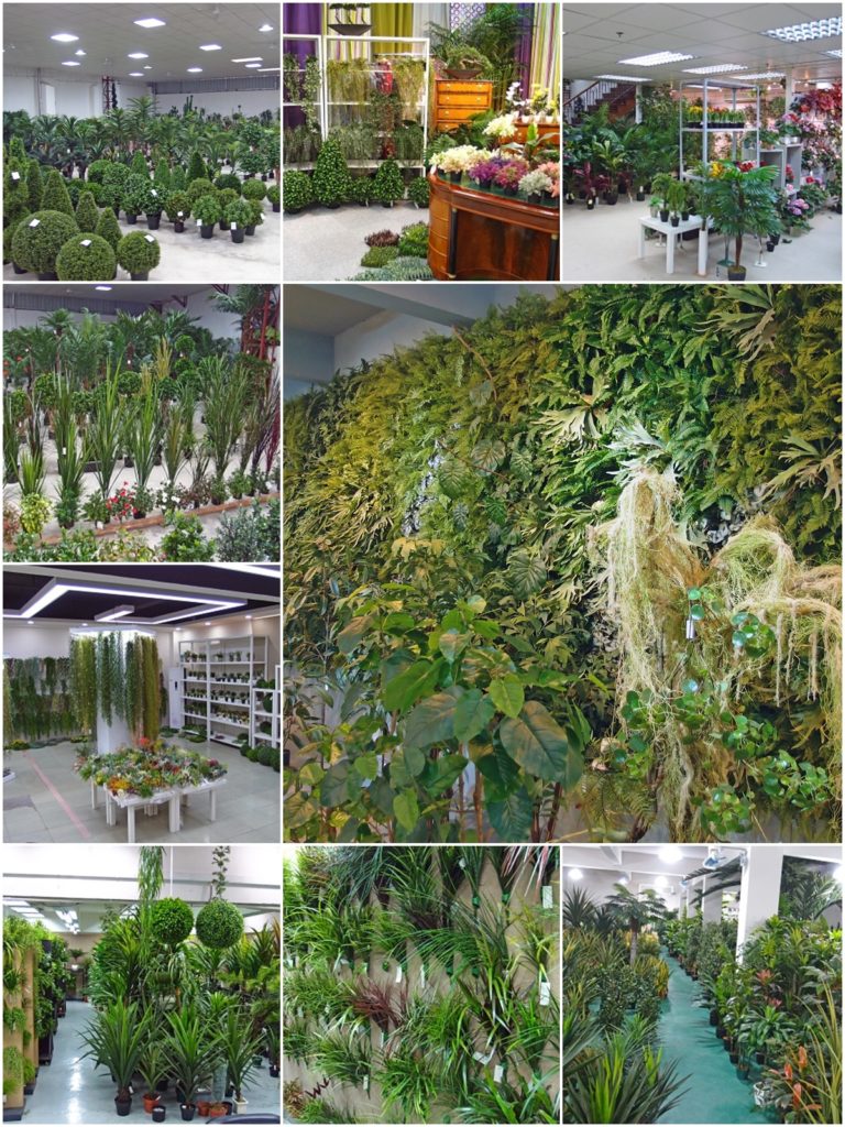 Showrooms of artificial plant factories in China and Hong Kong